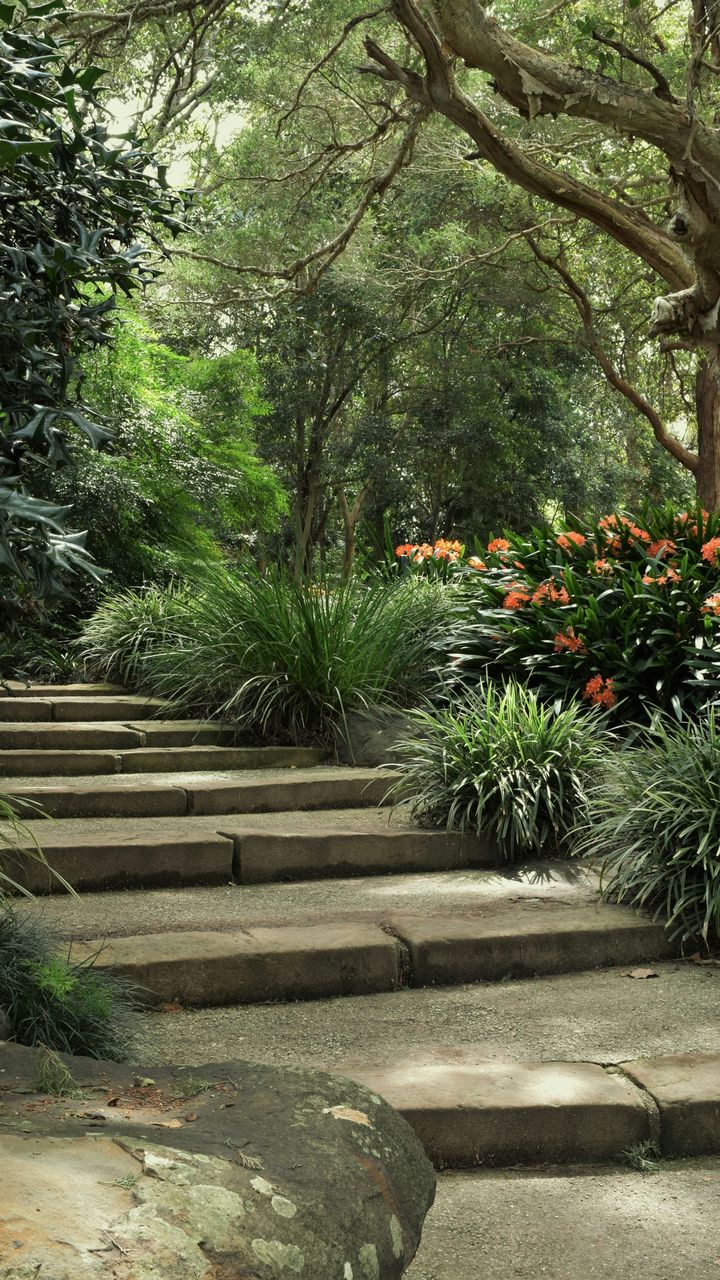 Sandstone steps winding up through ferns and native planting